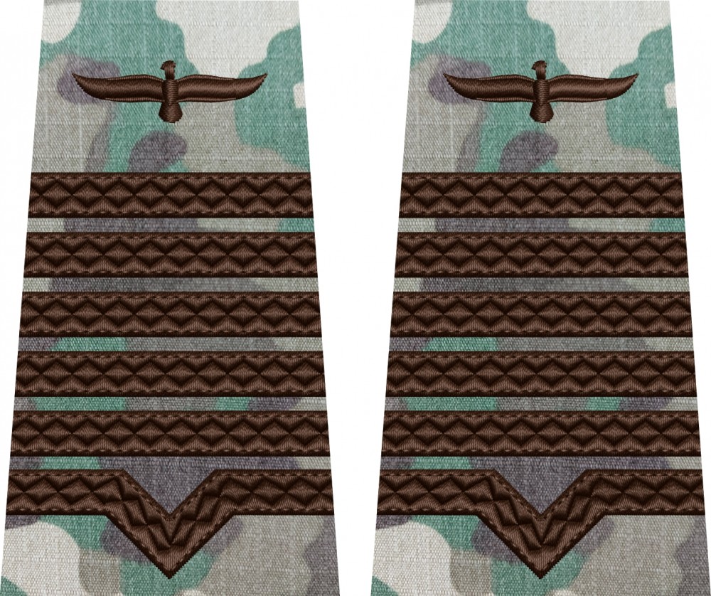 GRADE MAISTRU MILITAR PRINCIPAL COMBAT TERESTRU, SEMN ARMA AVIATIE